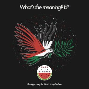 Business as Usual & Fox - What's the Meaning? EP